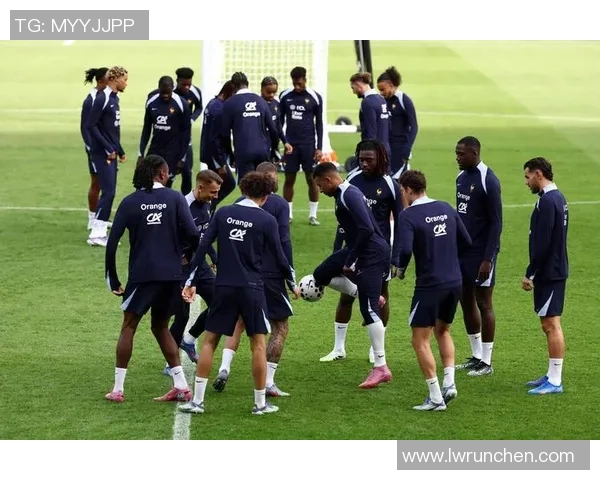 法国足球队历届球星完整名单及现役球员详细介绍